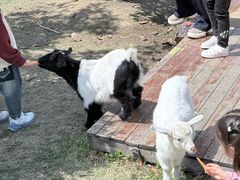 -天目湖涵田度假村