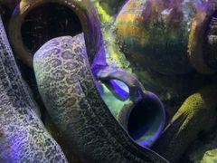 -太平洋海底世界