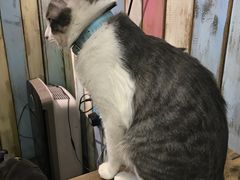 -小时光咖啡馆(开森度假森林店)