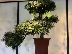 -韩上楼