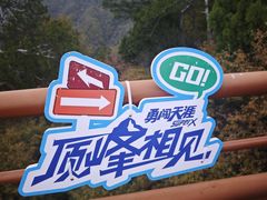 -少华山国家森林公园