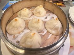 -小杨生煎(白玉兰广场店)
