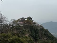 -莫干山风景区