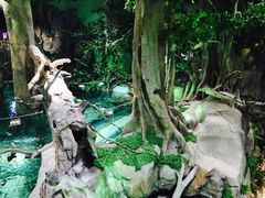 -福州罗源湾海洋世界旅游区