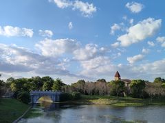 -上海海湾国家森林公园