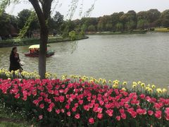 -上海鲜花港