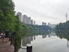 -重庆彩云湖湿地公园