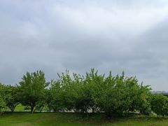 -莫子山公园