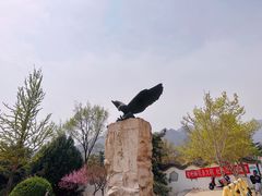 -北京鹫峰国家森林公园