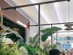 -同仁四季椰子鸡(宝安壹方城店)