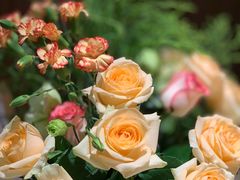 -月下料理(楷林IFC店)