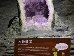 -正佳自然科学博物馆