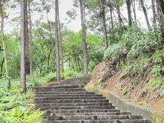 -广州白江湖森林公园