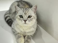 -怪兽屋·羊驼·猫咖·狗咖(俊华广场店)