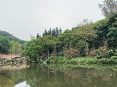 -云溪植物园