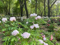 -东升八家郊野公园