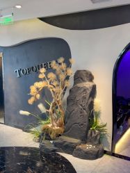 -TOP HAIR SALON