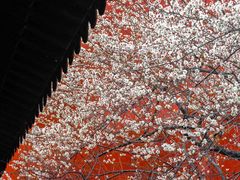 -钱王祠