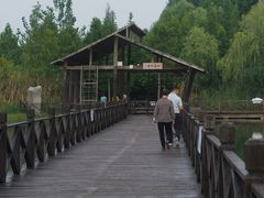 -溱湖国家湿地公园