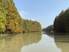 -上海海湾国家森林公园