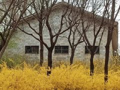 -石家庄市动物园