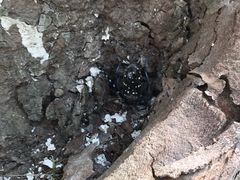 -南通博物苑-崇川人民公园