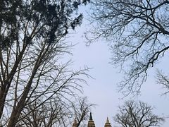 -北京石刻艺术博物馆(五塔寺)