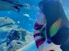 -石家庄海洋公园