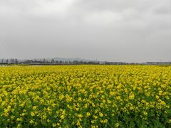 -清漾毛氏文化村