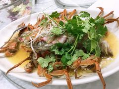 -王朝大酒店徐汇店-地面停车场