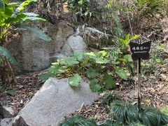 -福清灵石山国家森林公园