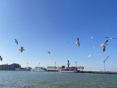 -呈贡滇池生态湿地公园