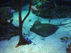 -沈阳海洋探索中心