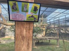 -石家庄市动物园