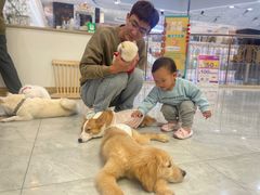 -柴犬小屋·柴餐厅·狗咖食堂(金鼎广场店)