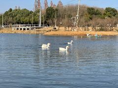-佛手湖郊野公园