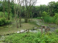-西湖风景区-江洋畈生态公园