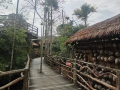 -海南槟榔谷黎苗文化旅游区