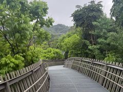 -福道