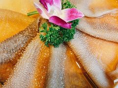 精品鲜毛肚-小龙坎火锅(全球总店)