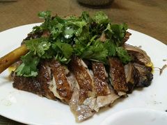 -肥信潮菜(科新路店)