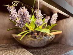 -茶叁酒肆·楚味江湖(菱角湖店)