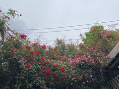 -化龙桥九宫格火锅(清水河店)