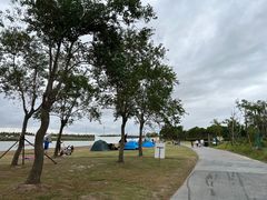 -春花秋色城市公园