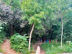 -北京西山国家森林公园