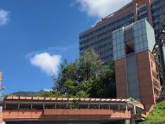 -香港大学