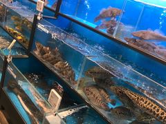 -盒马鲜生(宝地店)