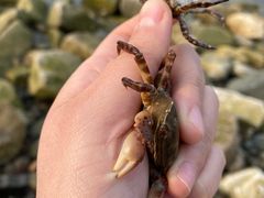 -潍坊滨海云门国际风筝放飞场