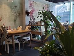 -张爱施法式西餐厅(汉街店)