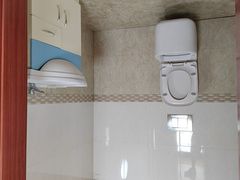 -金山农民画村-枫泾波兰倒置屋
